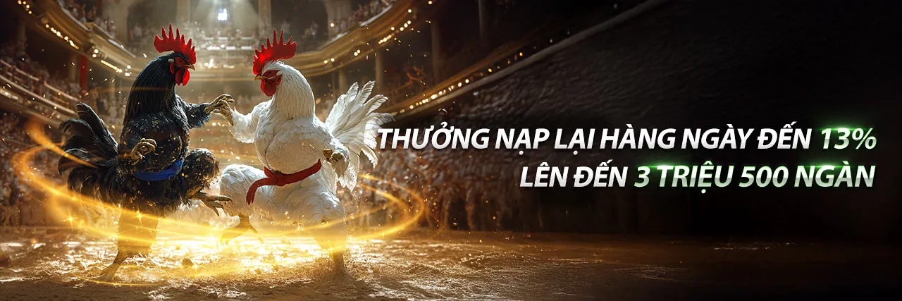 Đá gà trực tuyến hot51 nhà cái