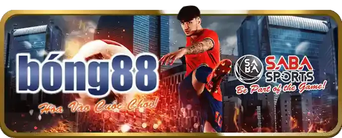 Giao diện nền tảng hot51 nhà cái